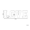 Proycon 4-Piece Clever LED Decoration Light Letters Love USB Multi-Coloured