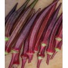 Fresh 25+ Red Burgundy Okra Seeds - NON GMO --