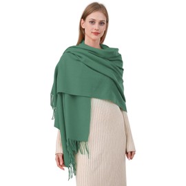 Best World 4 Yu Womens New Winter Warm Casual Scarf Solid Pashmina Tassel Style Stoles(Mint)