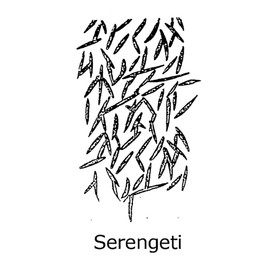 ToolPro Foam Texture Roller Cover (Serengeti)