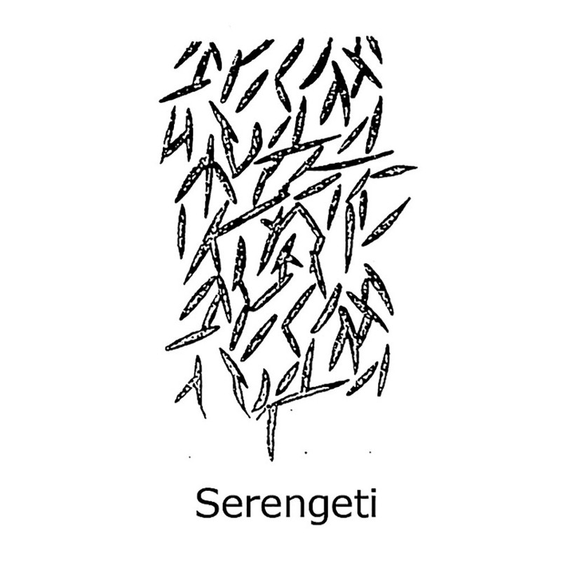 ToolPro Foam Texture Roller Cover (Serengeti)