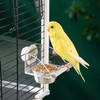 AIMALL Parrot Acrylic Stainless Steel Food Basin Box, Anti-Scattering Feeder