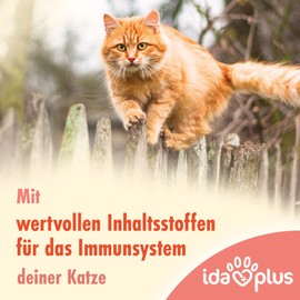 Ida Plus Vitamin Power Mini Sticks - Vitalfood for Building and Maintaining a Resilient Immune System and an Accelerated Immune Response - Activates the Body's Defences - Pack of 80