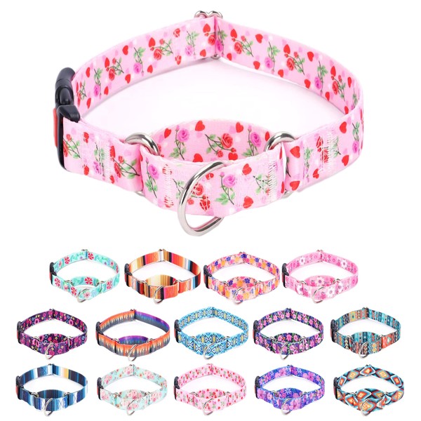 Moonpet Martingale Collar for Dogs Adjustable Soft Durable Dog Collar