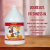 Mister Max Original Scent Anti Icky Poo Odor Remover, Gallon