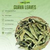 Green Life Guava Tea Leaves 150.