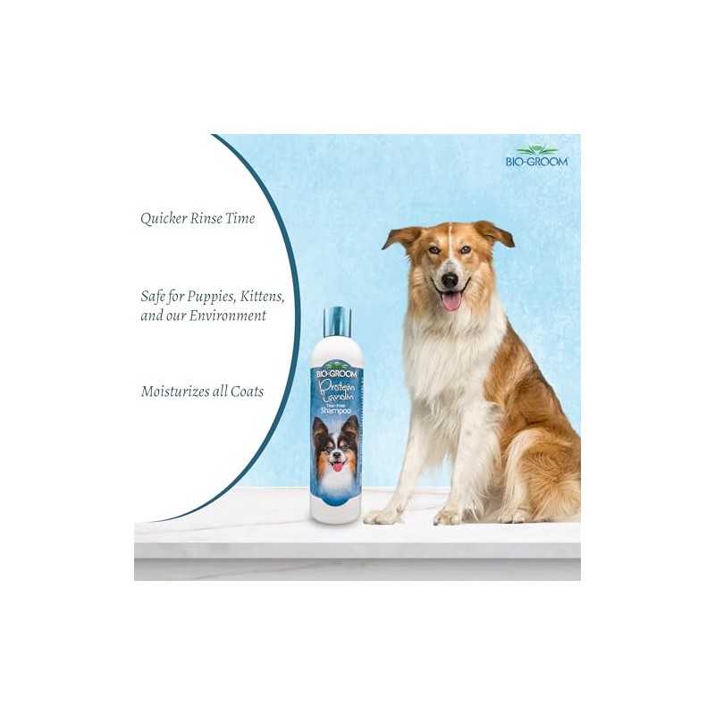 Protein Lanolin Tearless Conc. Shampoo 12oz