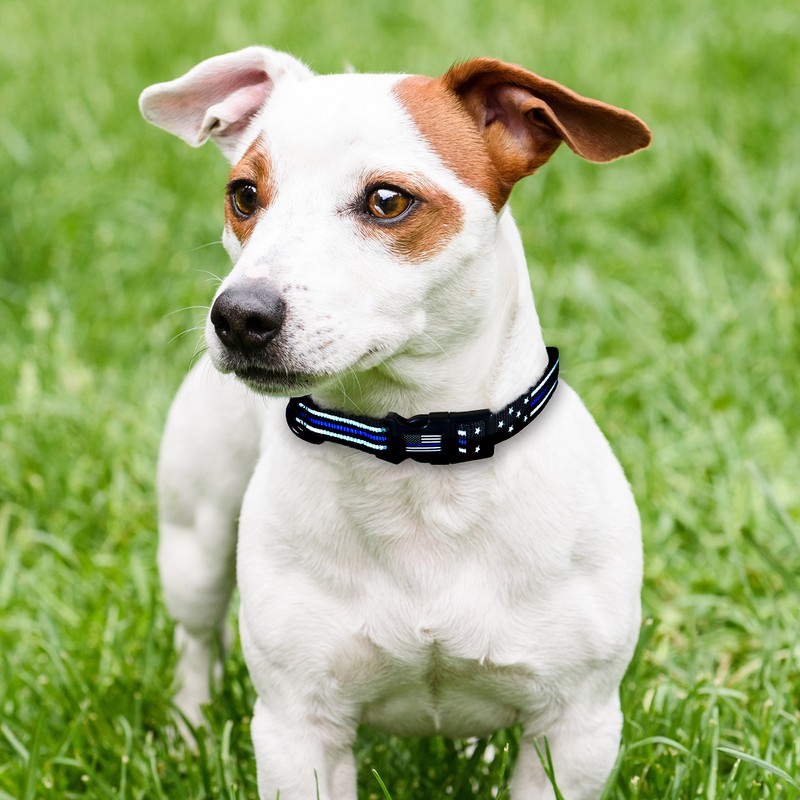 Dog Collar - Thin Blue Line (2 Styles Available)