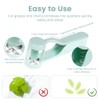 AOOTE Grape Slicer for Baby, Fruit Slicer for Toddlers, Stainless