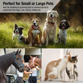 King Kanine Deshedding Dog Brush - Self Cleaning Deshedding Brush for Cats Dogs and Horses - Pet Comb for Grooming and Removing Loose Hair - Designed for Short to Medium Coats of All Stages