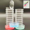 Petri Dish with lid, 60mm Diameter x 8mm Depth Petri