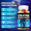 SHAPEINGIRL Creatine Monohydrate Gummies - Clean Creatine for Women Men