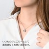 [Alles] Jewel of Memory Cremation Pendant Silver V925 Stainless Steel