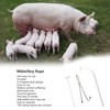 Pig Midwifery Set Tools Stainless Steel Livestock Pig Midwifery Rope