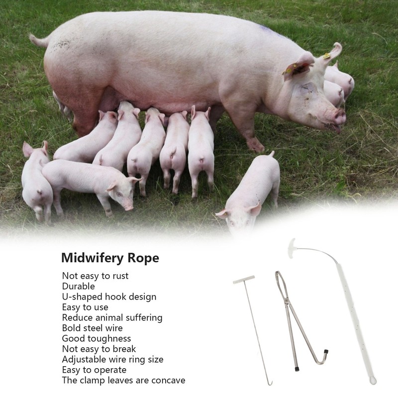 Pig Midwifery Set Tools Stainless Steel Livestock Pig Midwifery Rope