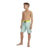 Hurley Boys Board Shorts, Green Glow, 20