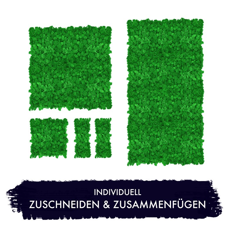 GJS Moss Picture - Moss Mat/Moss Sheet (25 x 25