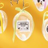 Acrylic Painting Disc Egg Approx. 8 cm Craft with Hanging