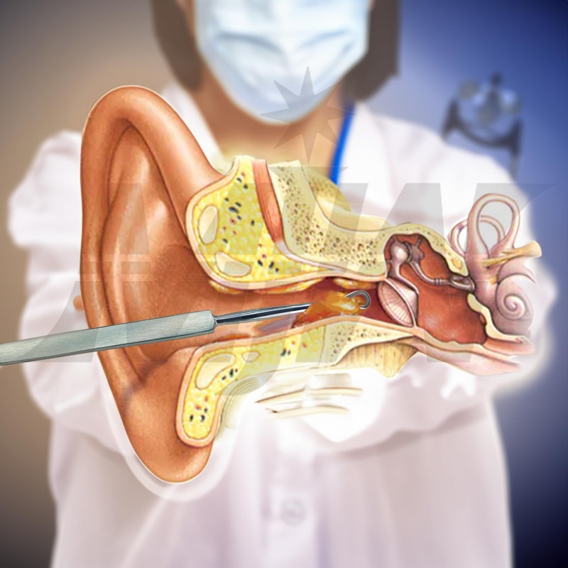 Fiber Optic Mini Otoscope Ear Healthy Tool for Home use