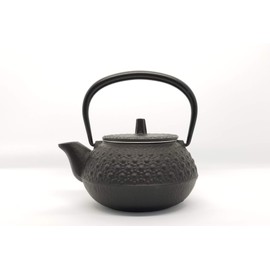 Iwachu 12803 Teapot for Tetsubin, 3 Type, New Turtle Shell Black, 0.1 gal (0.32 L), No Enamel, Compatible with Direct Fire