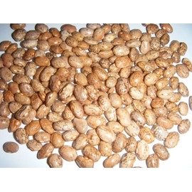 Brown Greasy Pole Bean Over 300 Kentucky Cornfield Brown Greasy Beans Heirloom Seeds 300+ Mailed Quick