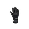 Gordini Men's Standard Spring Glove, Black, Medium