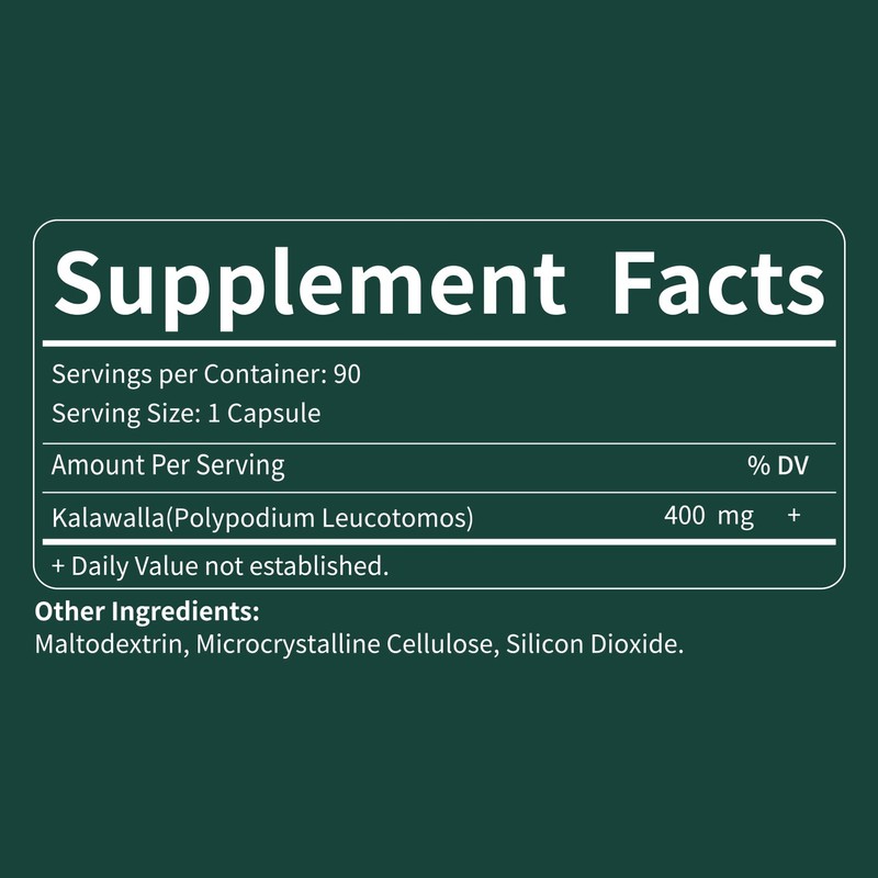Polypodium Leucotomos Extract Capsules for Immune & Skin Health