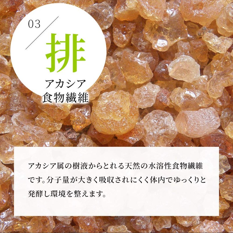 シードコムス サラシアブラック サプリメント 炭 チャコール 乳酸菌 オリゴ糖 ダイエットサプリ (約3ヶ月分 180粒)