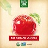 Santa Cruz Organic Apple Sauce Pouch, 4-3.2 Ounce Pouches (Pack