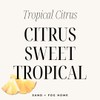 Sand + Fog Tropical Citrus Reed Diffuser | Made with