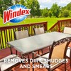 Windex Outdoor Window and Glass Cleaner for Hose Ammonia Free,