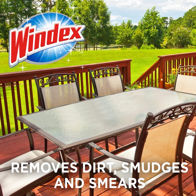 Windex Outdoor Window and Glass Cleaner for Hose Ammonia Free,