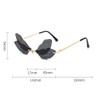 ENTHYI Dragonfly Wing Shape Sunglasses for Women/Men Frameless Irregular Glasses
