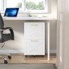 Halitaa 2 Drawer Small File Cabinet with Wheels, Farmhouse Vertical