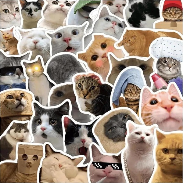 Cat Stickers,Funny Cat Meme, Kawaii for Adults,Waterproof Vinyl Stickers for