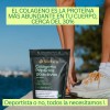 Dúo Sileben Colágeno Hidrolizado Péptidos 2000 Dalton 450 Sabor