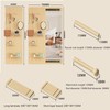 WOHNZA Hanging Full Length Mirror, Push-Pull Rectangle Mirror Concealed Design