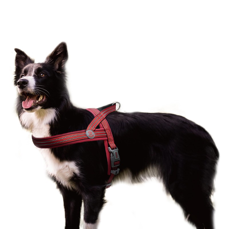 DOCO No-Pull Dog Harness Halter - Reflective, Easy-Control Harness -