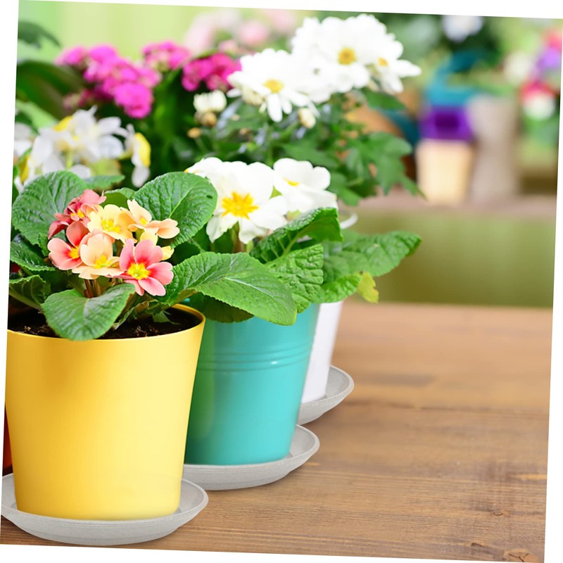 BESPORTBLE Flower Pots Pot Planter Shelf Plastic Flowerpot Tray Flowerpot