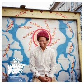 Toro Y Moi ‎- What For LP - Vinyl Album - SEALED NEW RECORD - Synth Pop