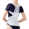 Alphax Posture Supporter, Made in Japan, Posture Belt Corrects From