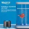 Aquarium Air Pump with Adjustable Double Outlet air Stone Bubbler