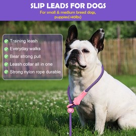 Dog Slip Leads for Chihuahua Yorkshire, Leash for Small Dogs Slip Lead Nylon No Pull, 8 Colors Classic Training 5.9FT Pet Puppy Leash, Training Rope for Small Animals