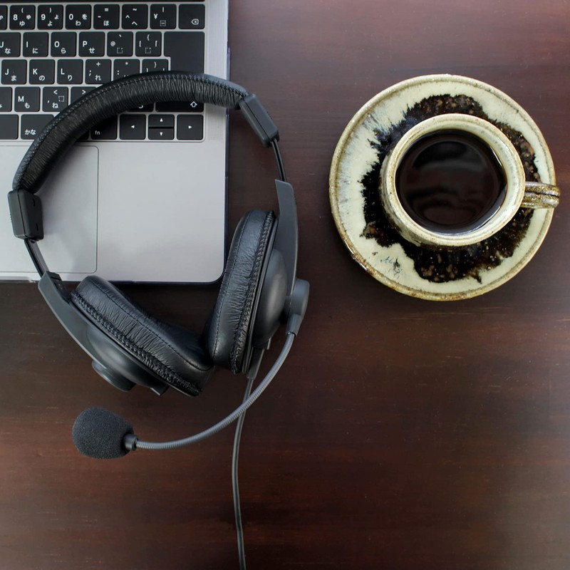 SOUND WARRIOR SW-HS10 Monitor Youth Headphones