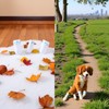 20 Pcs White Disposable Dog Boots for Paw Protection, Adjustable