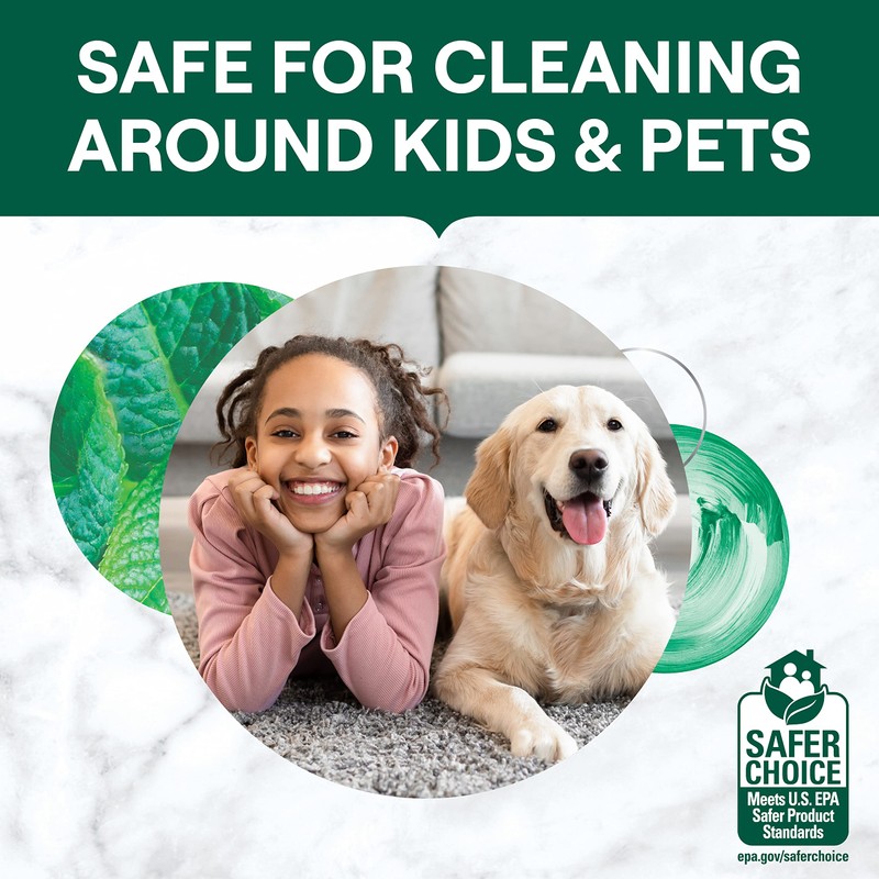 Seventh Generation Multi-Surface Cleaning Wipes, Garden Mint Scent, Cuts Grease