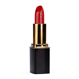 L'Paige (L31) TERRA COTTA Designer Lipstick, Aloe Vera Based, Long-lasting, Moisturizing