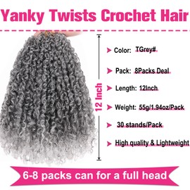 Unionbeauty 12 Inch Pre-Looped Yanky Twist Crochet Hair 8Packs Pre-Twisted Short Water Wave Passion Twist Crochet Braids Ombre Grey Micro Spring Twist Marlybob Synthetic Crochet Hair Extensions TGrey#