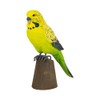 WILDLIFEGARDEN Wildlife Garden WG4810 DecoBird Budgie - Hand Carved Decorative