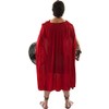 Spartan Warrior Adult Costume - Standard